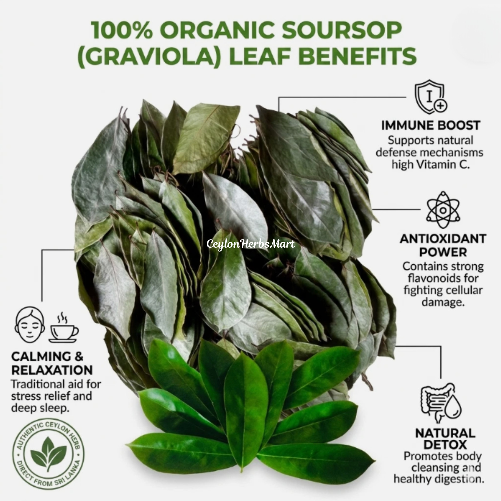 100% Organic Dried Soursop Graviola Leaves Herbal Tea Hojas De Guanabana Leaf