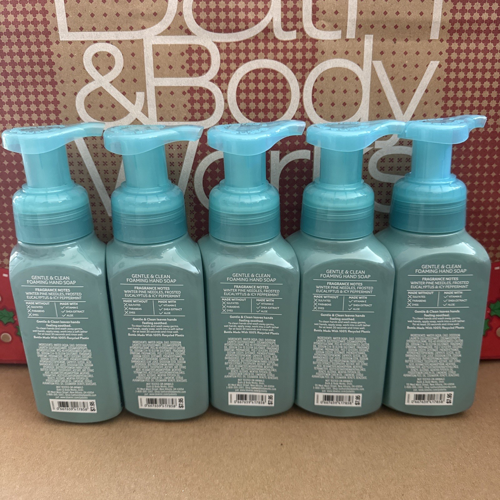 5x ❄️🌲FROSTED FOREST 🌲 ❄️ ~Bath Body Works Gentle & Clean Foam Hand Soap *2025