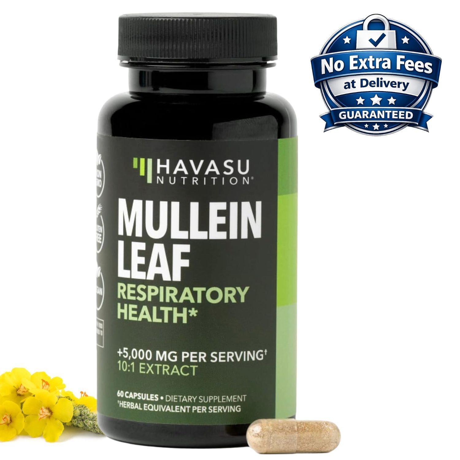 Cápsulas de Extracto de Hoja de Gordolobo 5000mg Mullein Leaf (10:1) 60 Cápsulas