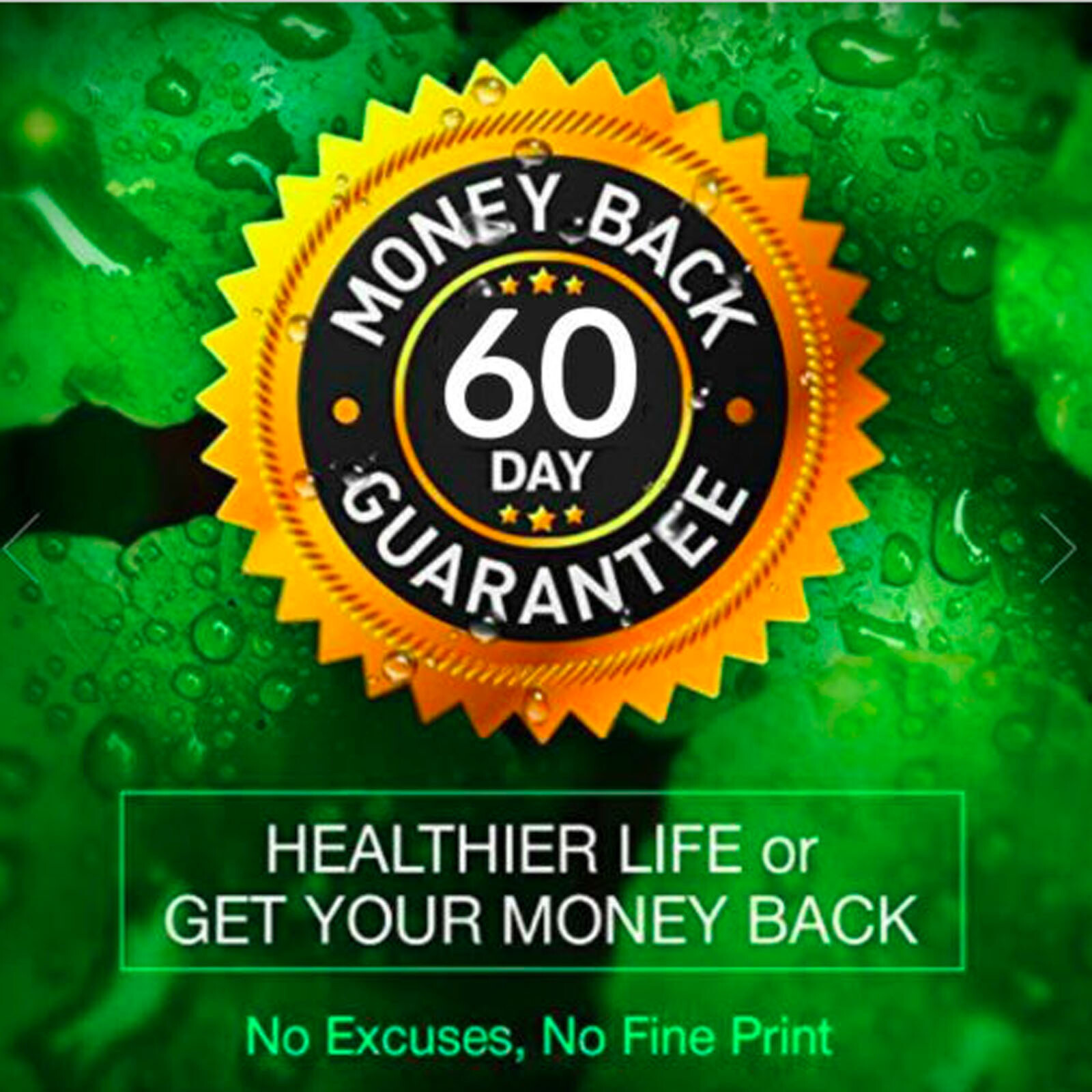 Green Coffee Bean Extract Weight Loss Energy Boost Herbal Supplement 60 Capsule