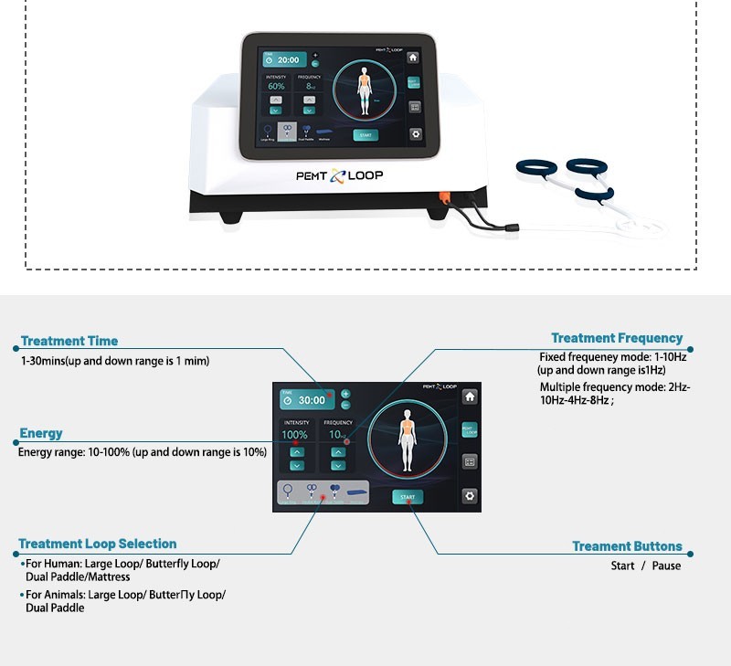 PMST Loop Magnetic Therapy PEMF EMTT Physio Magneto Home Use Massage Machine