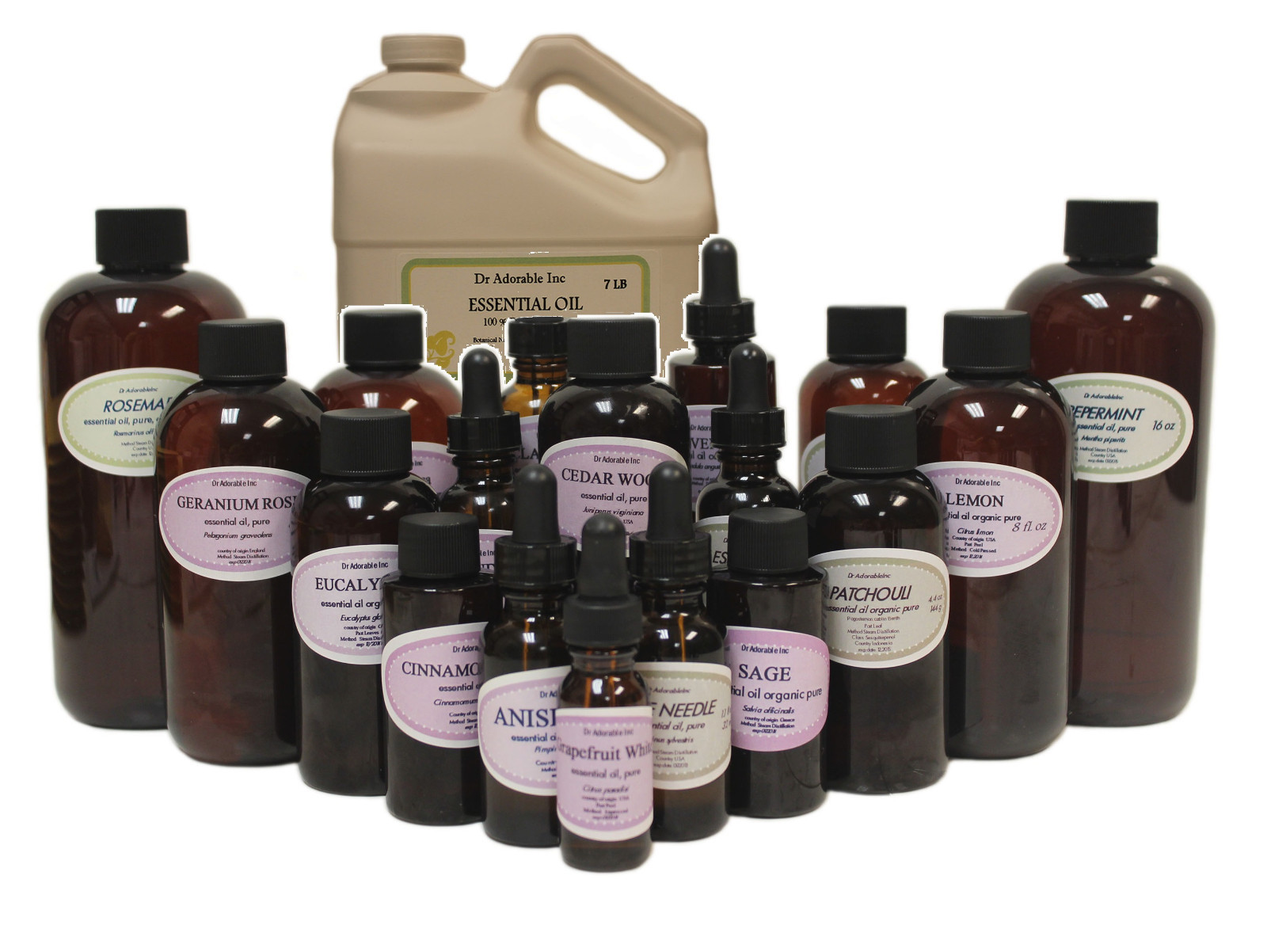 Myrtle Essential Oil Therapeutic Grade Organic Pure Sizes from 0.6 oz to Gallon