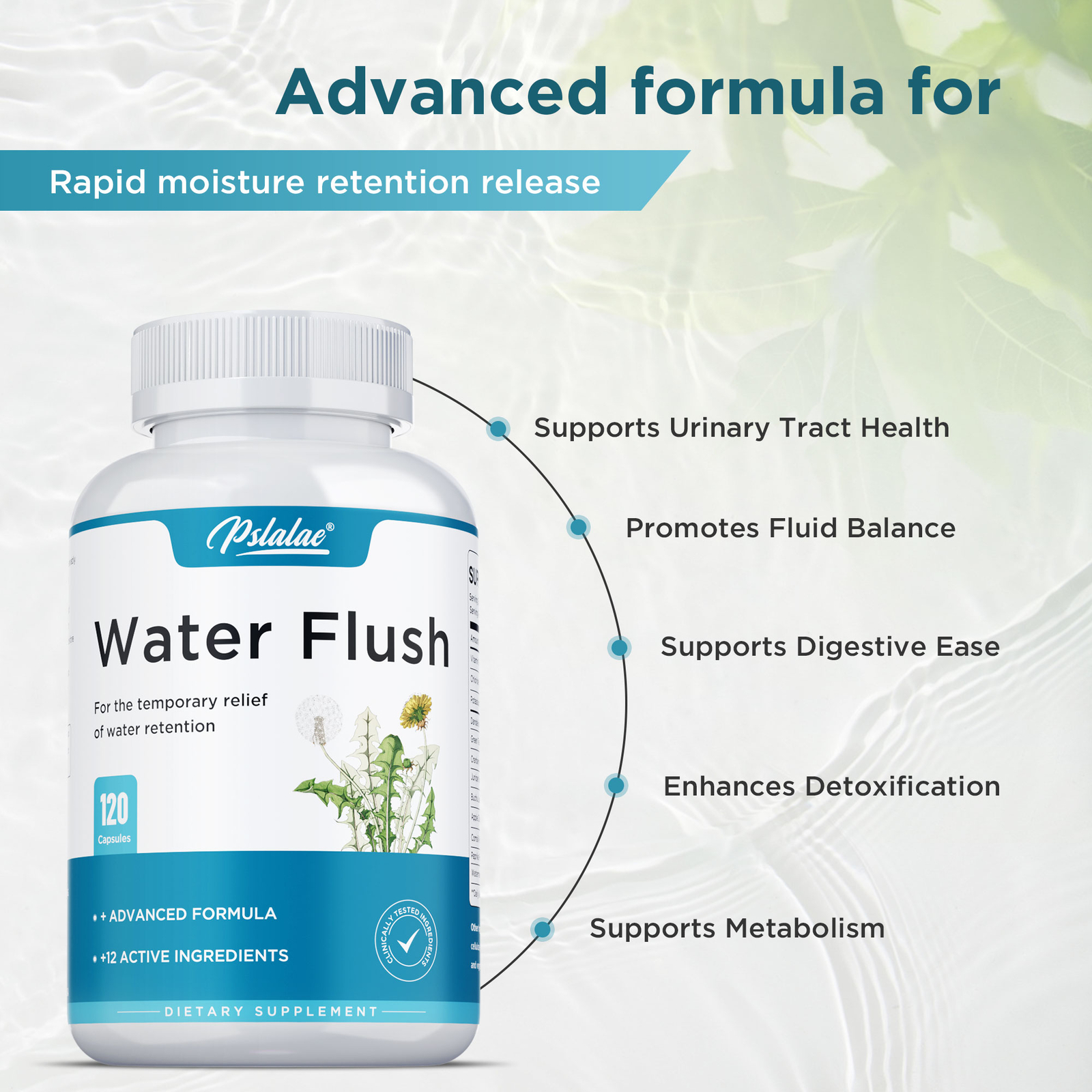 Water Flush – Green Tea, Cranberry – Suppress Appetite,Relieve Bloating,Burn Fat
