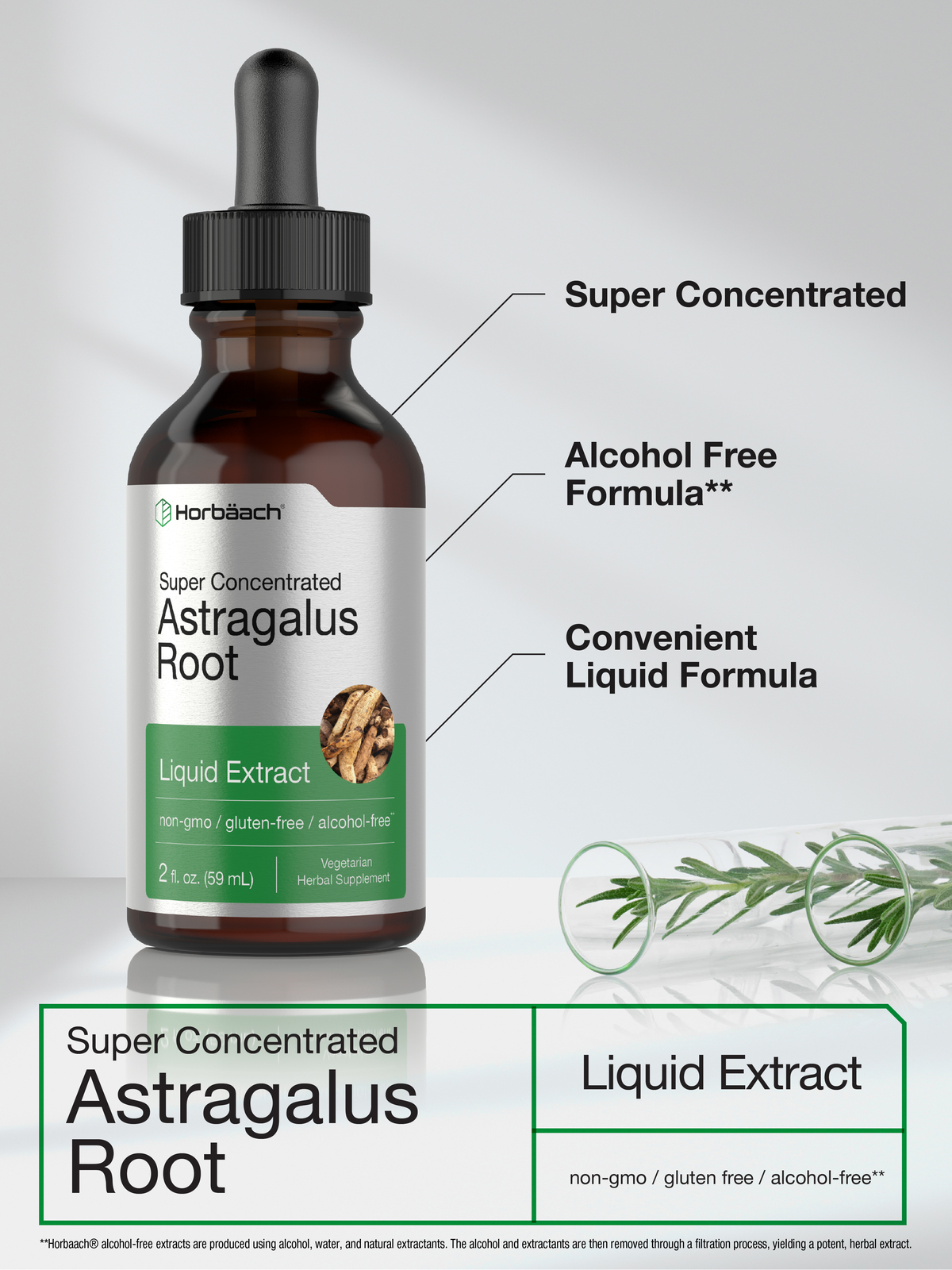 Astragalus Root Liquid Extract | 2 oz | Alcohol Free | Vegetarian | by Horbaach