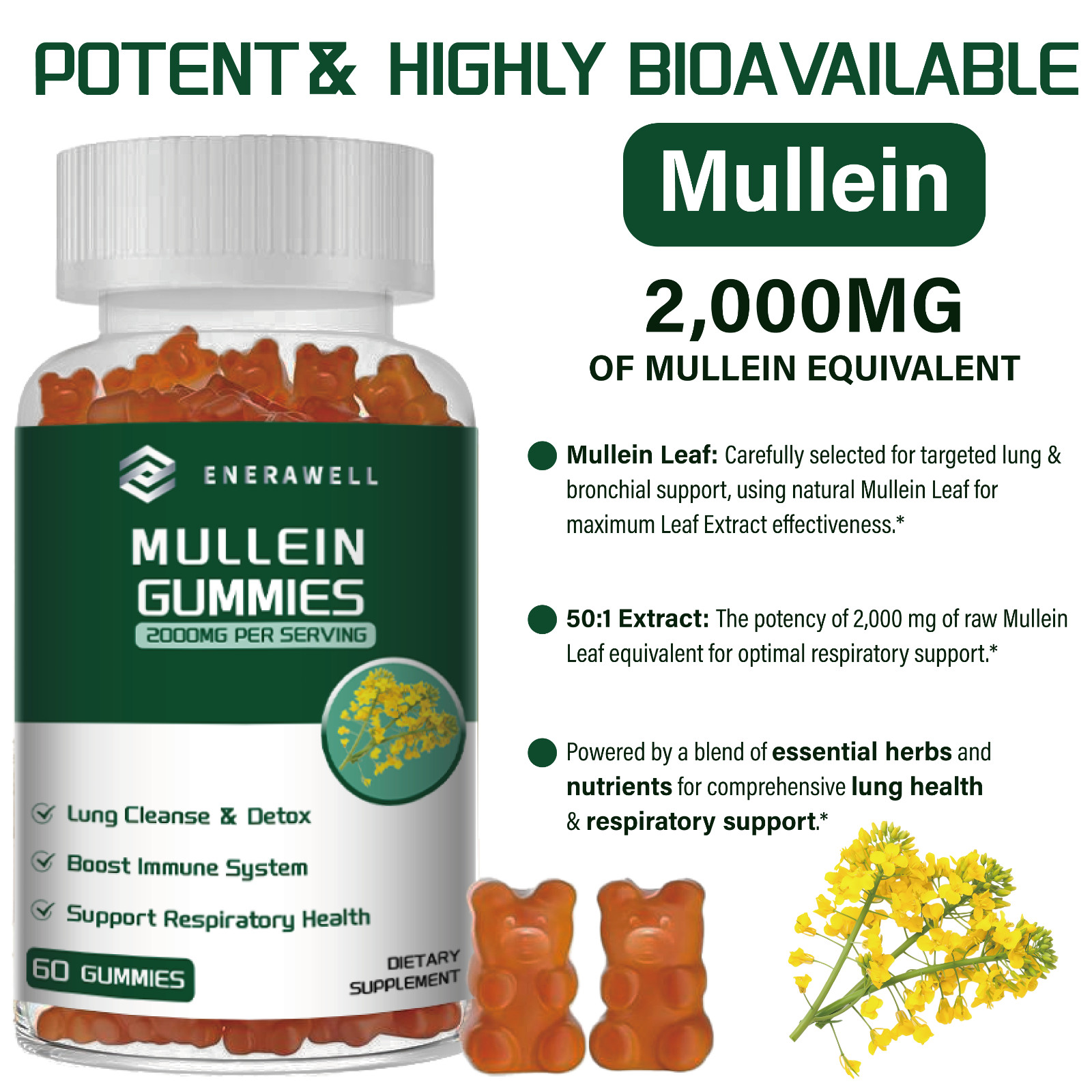 Mullein Chewable Gummies for Lung Cleanse & Detox, Respiratory Health 02/07/2027