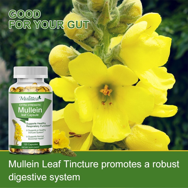 120 Mullein Leaf Capsules for Lung Cleansing&Detox Herbal Dietary Supplement