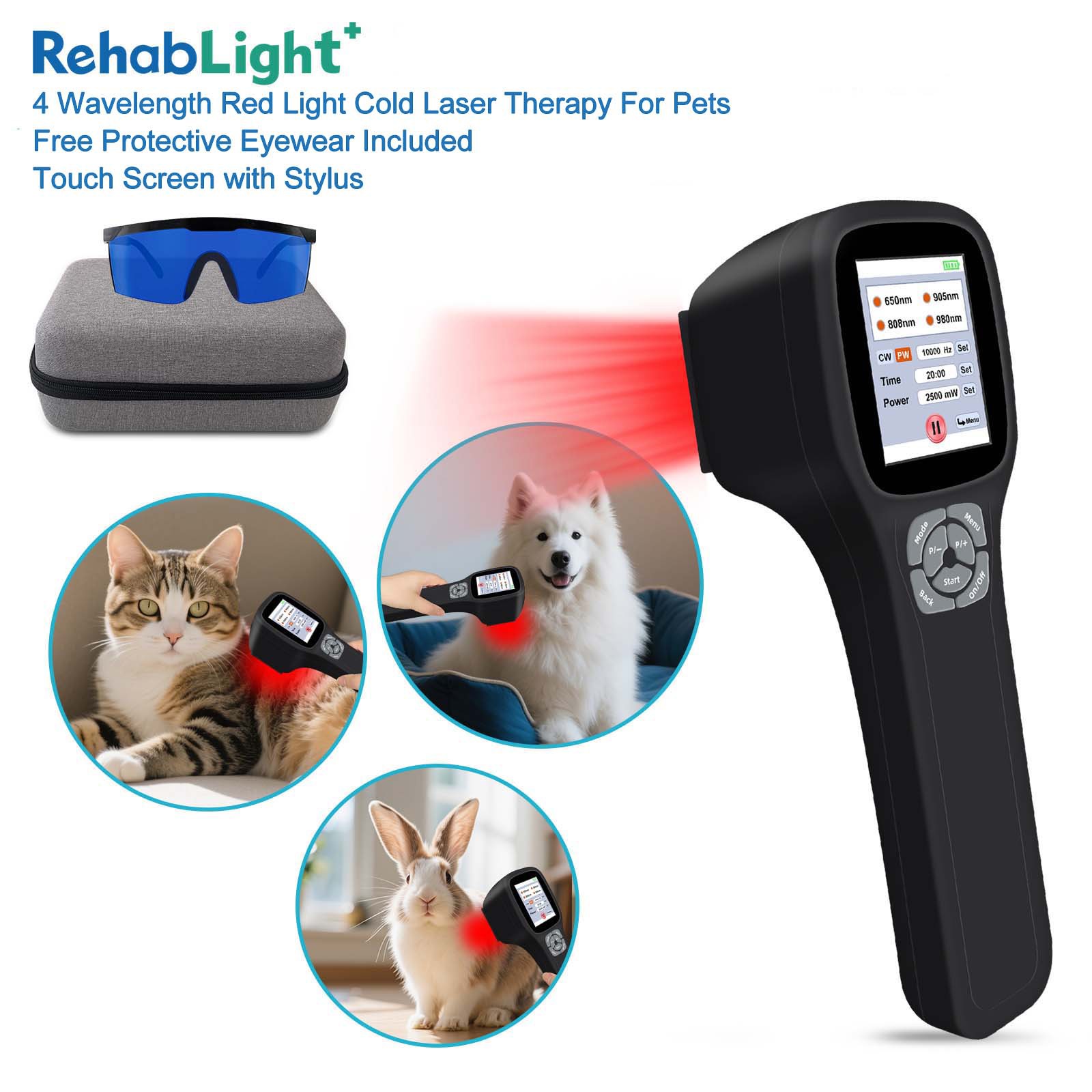 2500mW 980nm Cold Laser Therapy for Senior Dogs with Arthritis & Mobility Issues