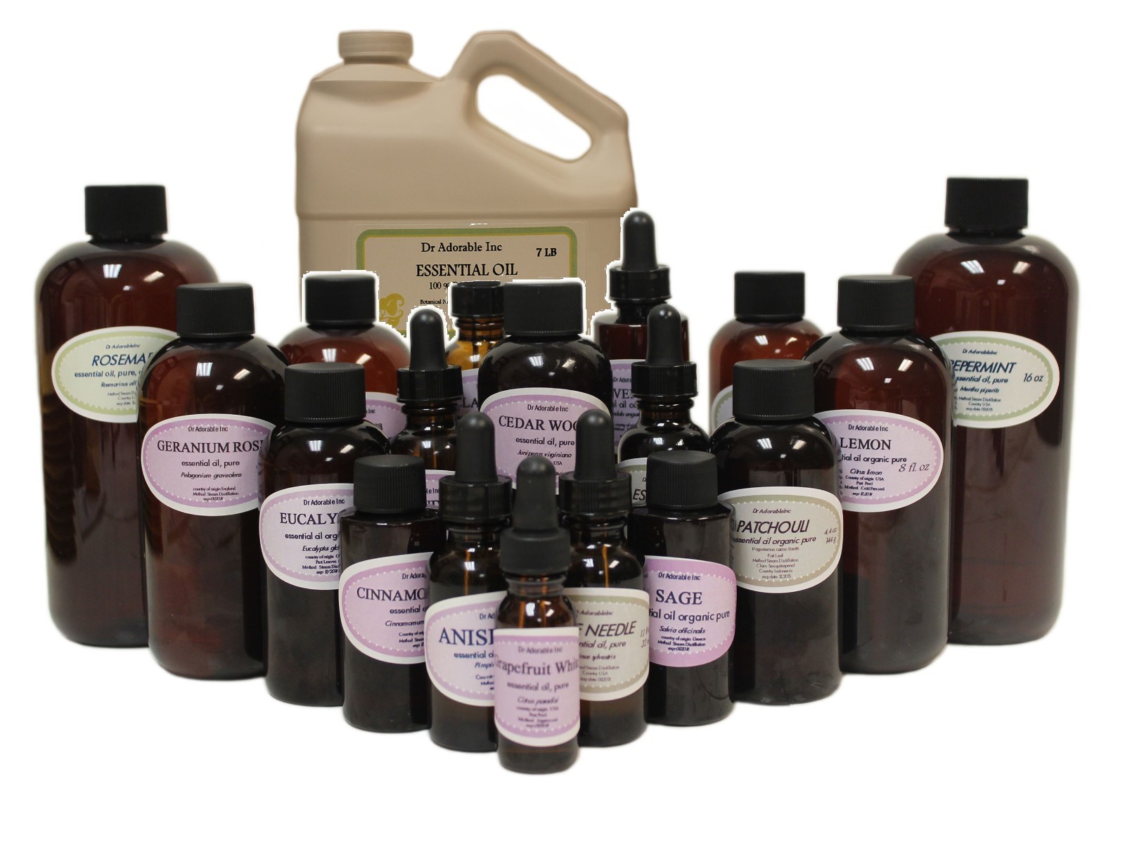 Cardamom Essential Oil Therapeutic Grade Organic Pure Sizes from 0.6oz to Gallon