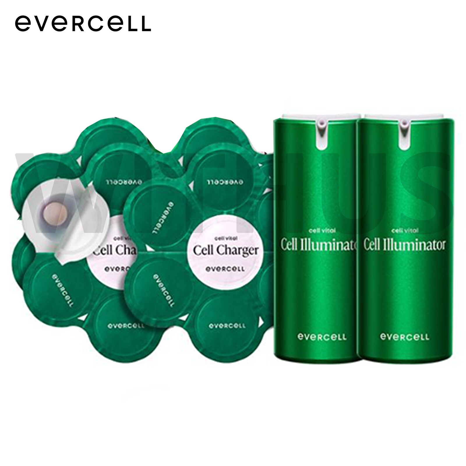 Evercell Cell Vital Cell Program Set Cell Charger & Cell Illuminator (4 Week)=