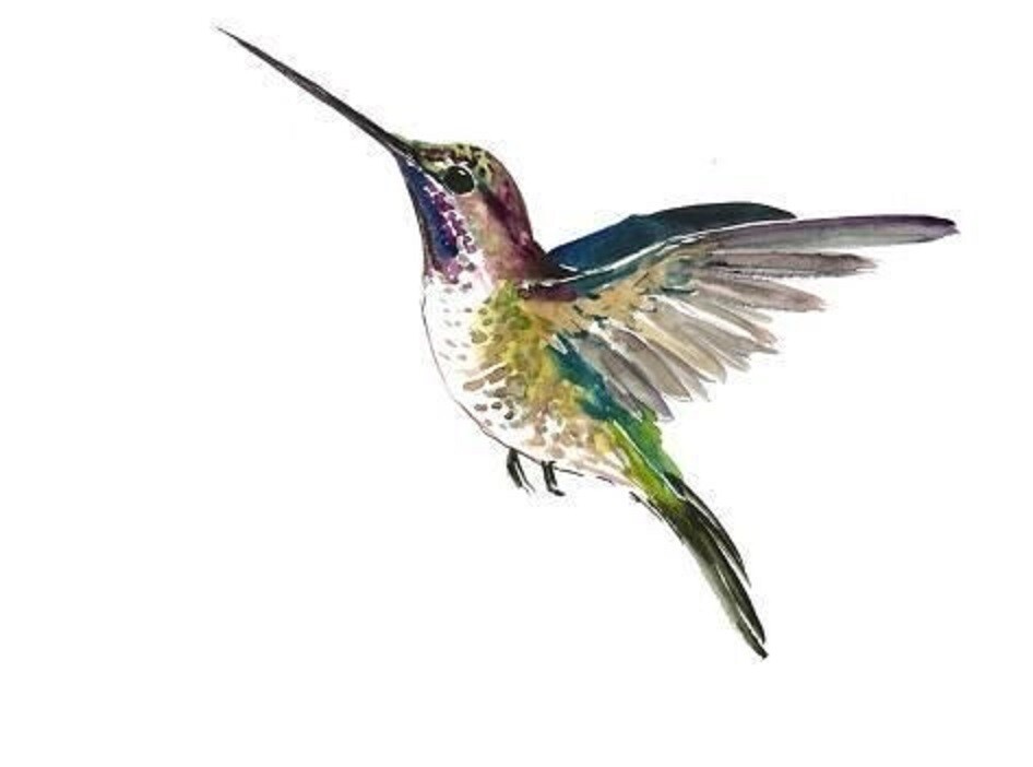 SHIP FROM NY – Temporary Tattoo – Set of 2 Hummingbird (2″ each)