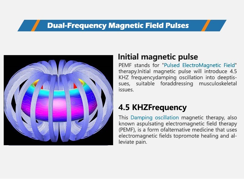 PMST Loop Magnetic Therapy PEMF EMTT Physio Magneto Home Use Massage Machine