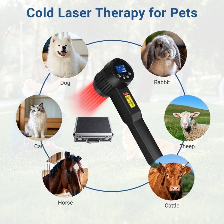 650 808nm 5W NIR Light Laser Therapy for Neuropathy Back Knee Joint Pain Relief