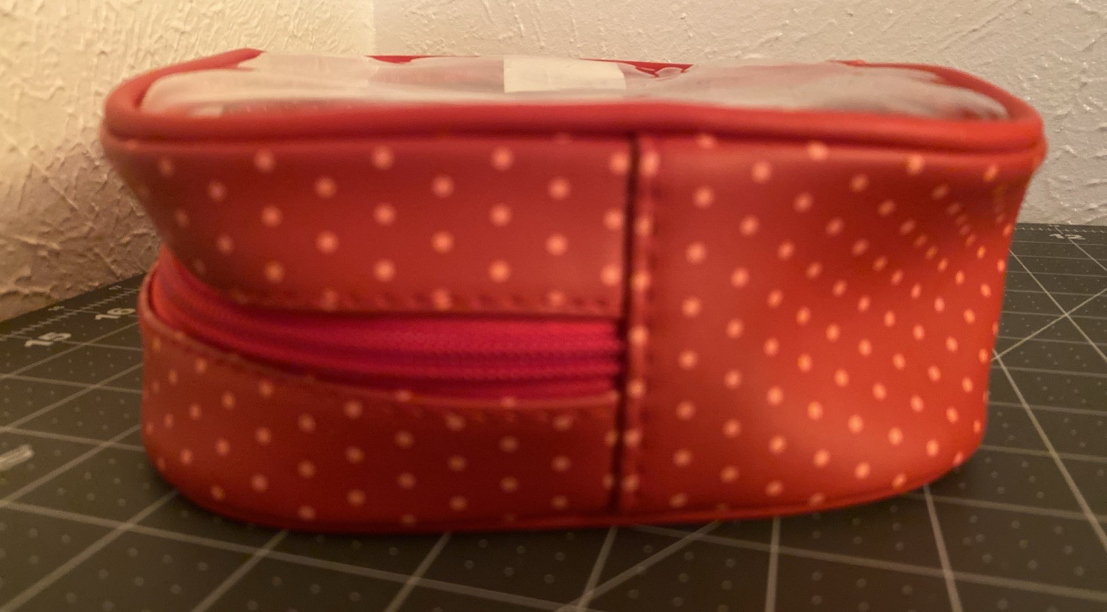 Strawberry Shortcake Clear Vinyl Makeup Bag