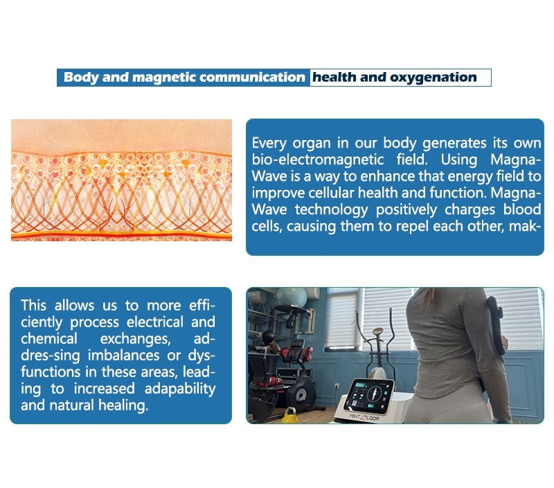 PMST Loop Magnetic Therapy PEMF EMTT Physio Magneto Home Use Massage Machine