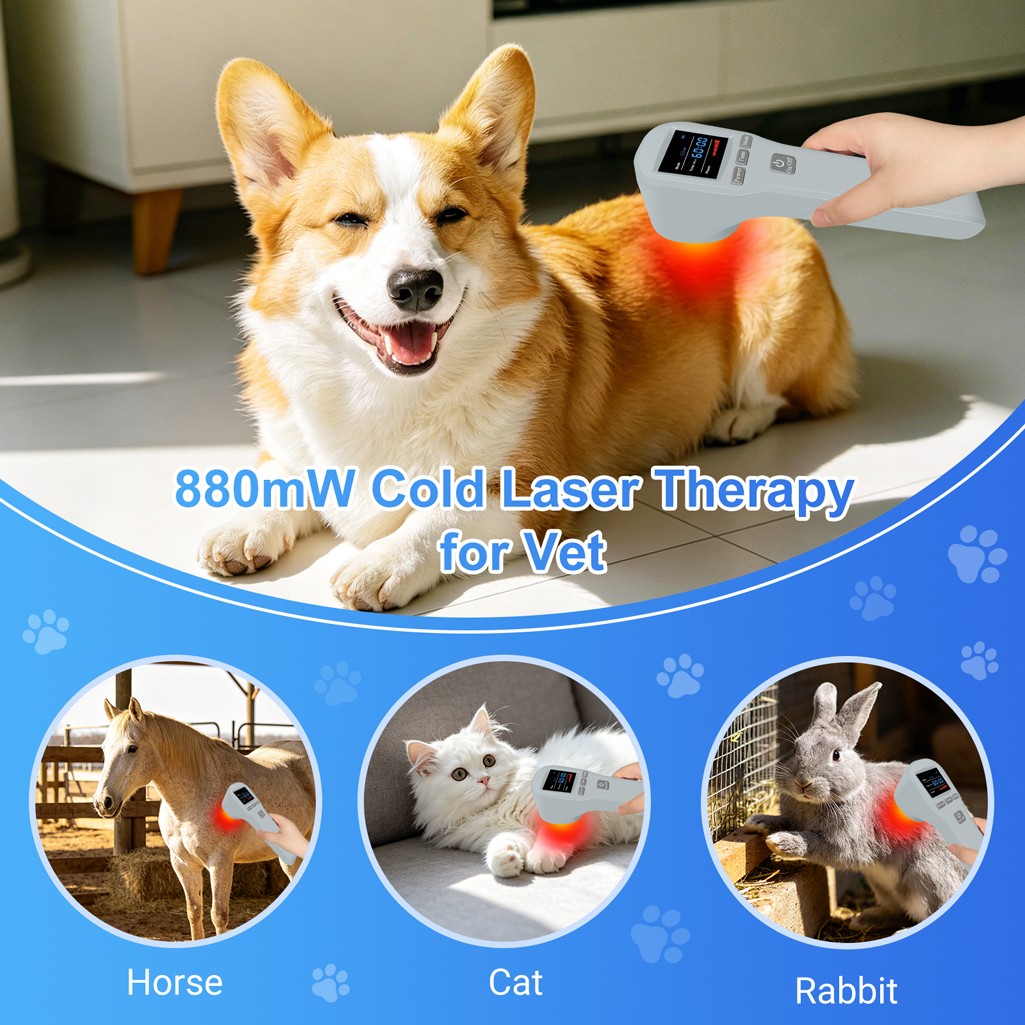 880mW Cold Laser Therapy for Back Pain Relief Red Light & Infrared 650nm+808nm