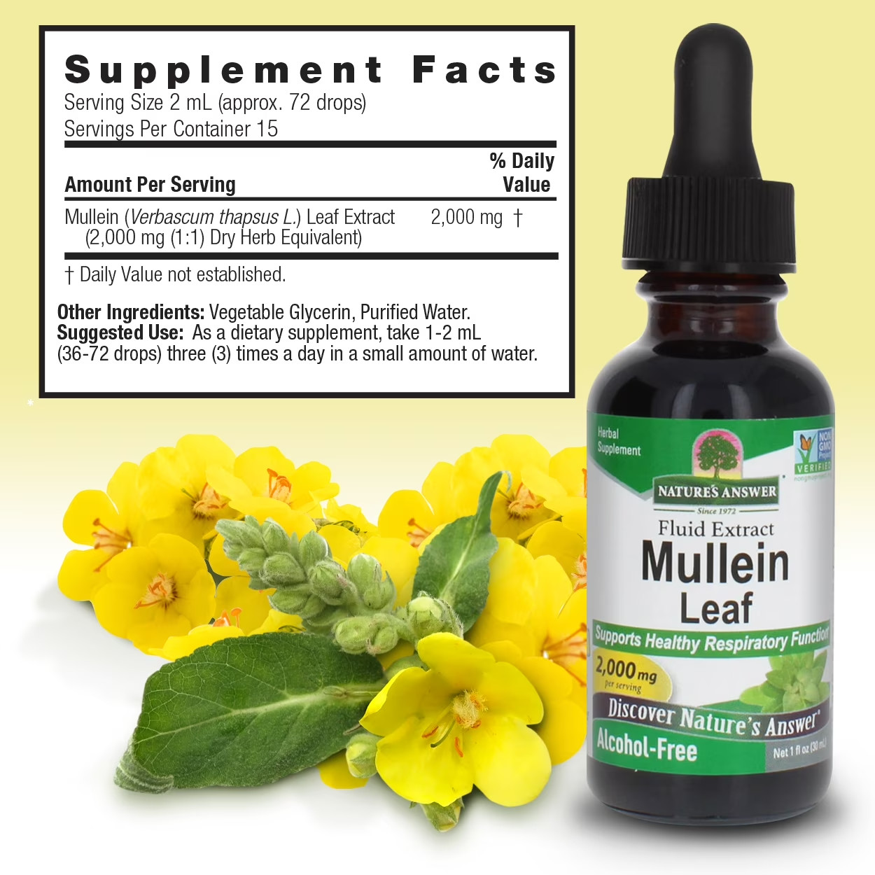 Nature’s Answer Mullein Leaf Extract 3 Pack 1oz Alcohol Free Lung Respiratory