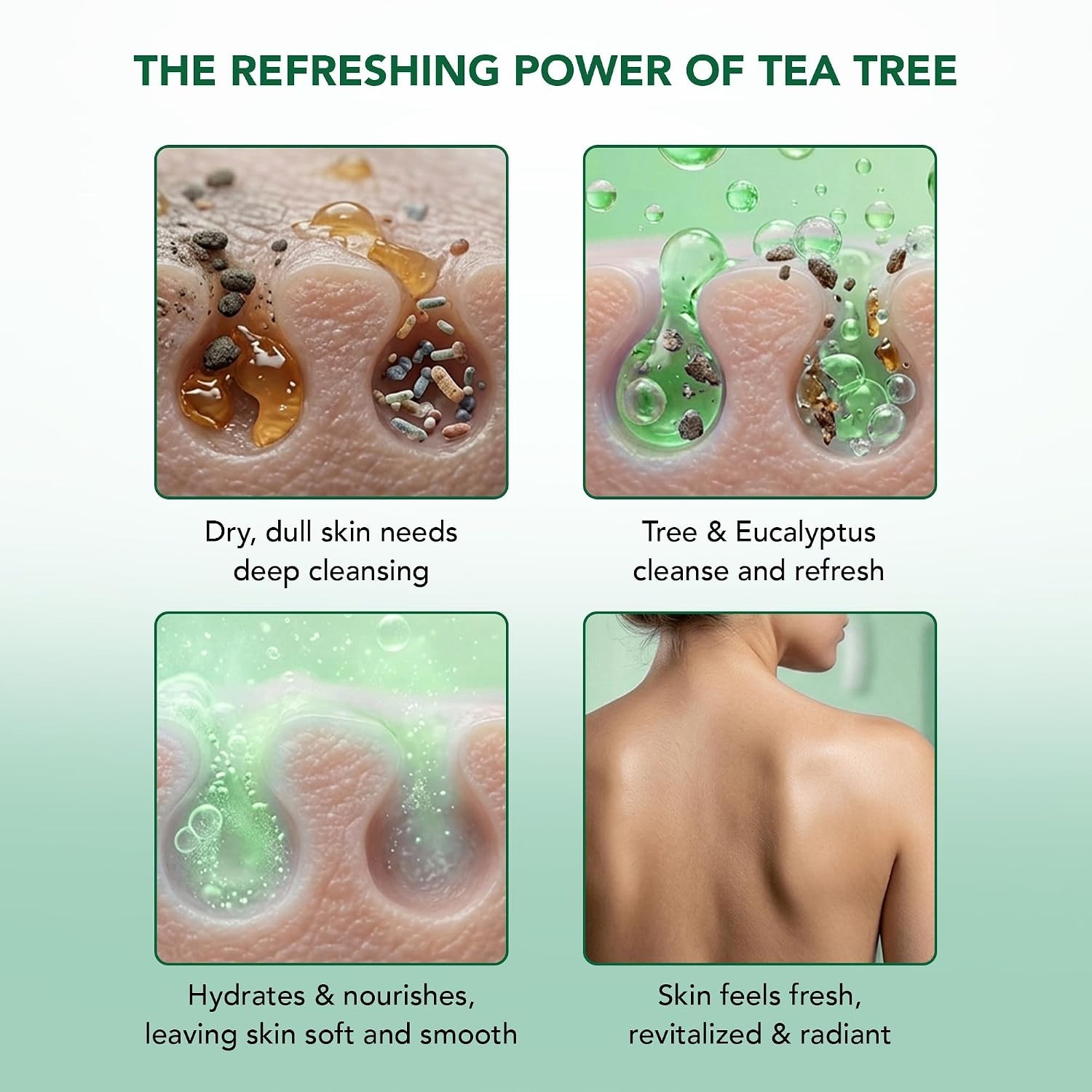 Naturally Refreshing Eucalyptus & Tea Tree Shower Gel – 16 fl oz, Cruelty-Free