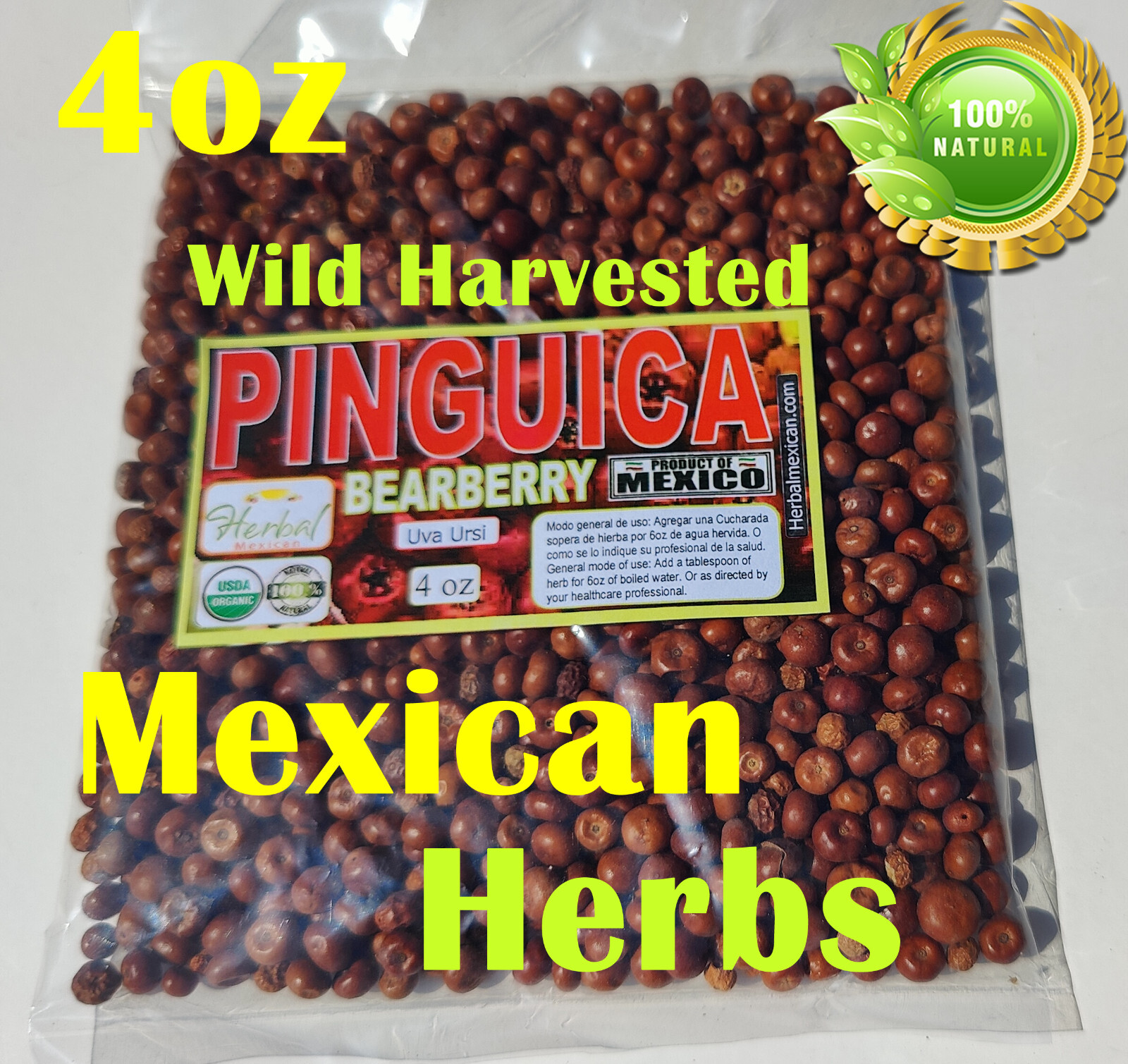 Uva Ursi, Pinguica,Arctostaphylos, Bearberry, uva ursi fruit Organic wild 4oz !