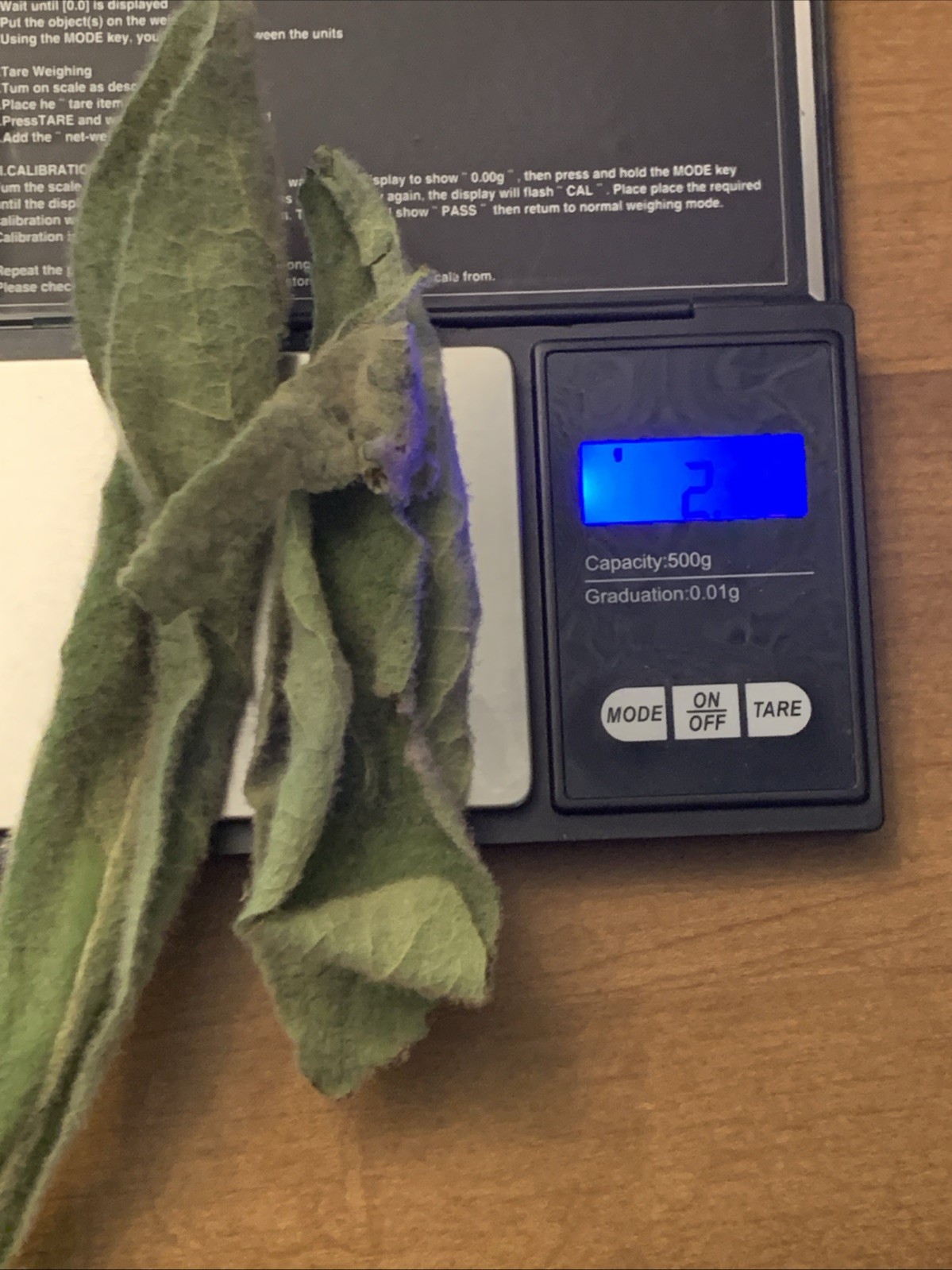 Sample 2 Whole Leaf Organic Mullein Fresh Forest Harvest Slow Naturally Dried