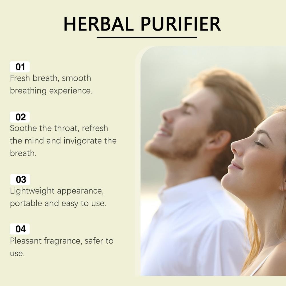 4 Style Herbal Diffuser w/Mullein Thyme Mint for Lung Health Fresh Air 4 packs