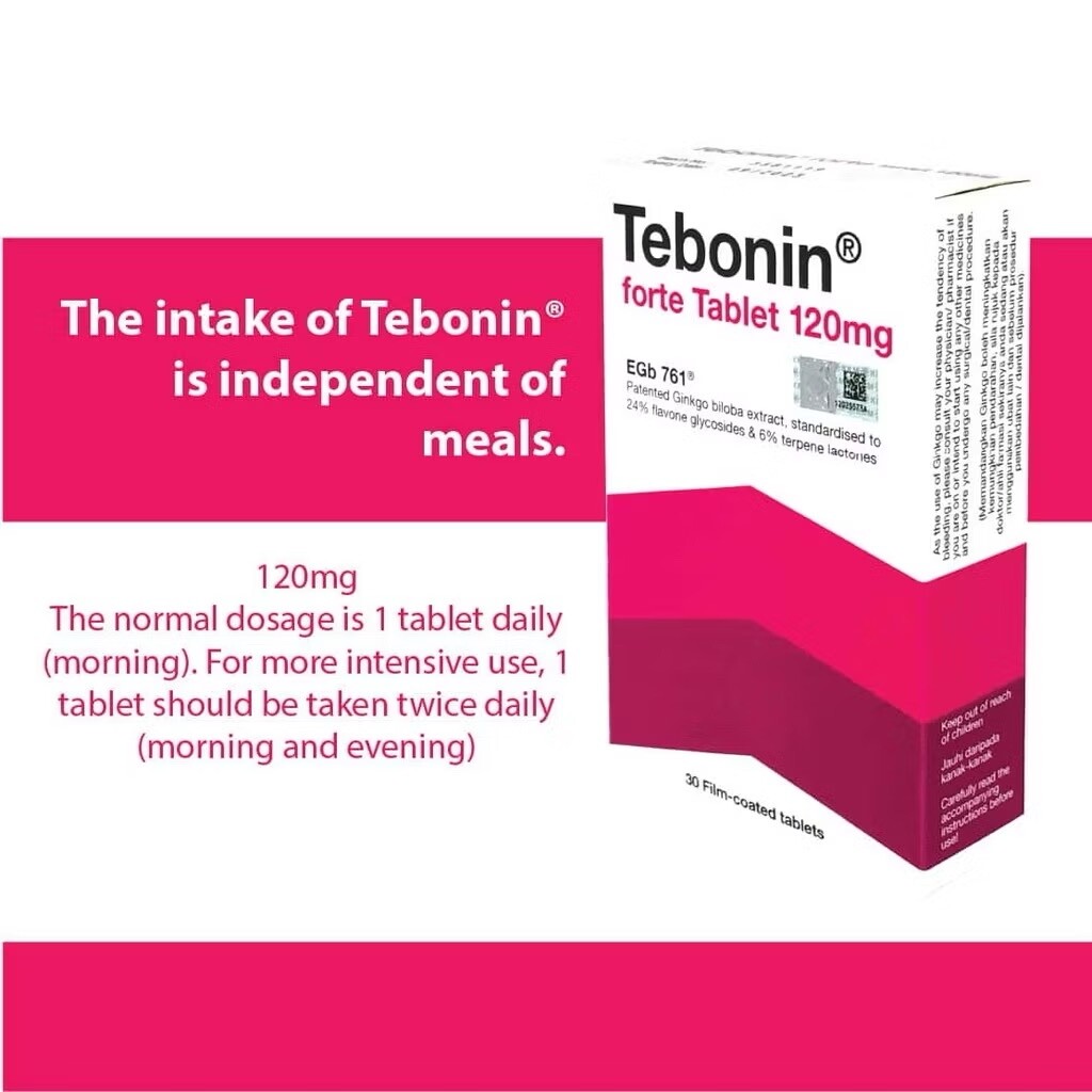 [2 BOX] Tebonin Forte 120mg EGb761 (30Tablets) Ginkgo Biloba Focus Concentration