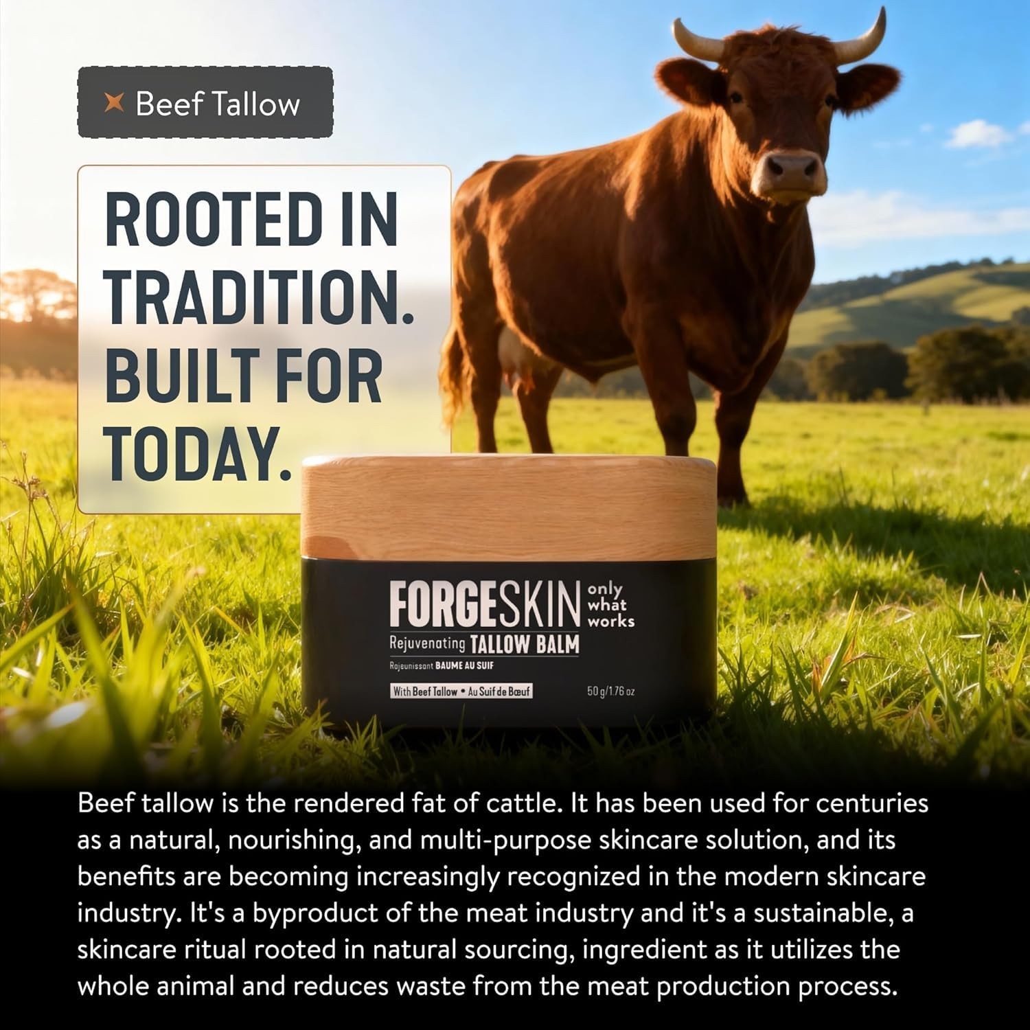 FORGE SKIN® Wrinkle Defense Beef Tallow Balm for Men [TALLOW-BASED] Moisturiz