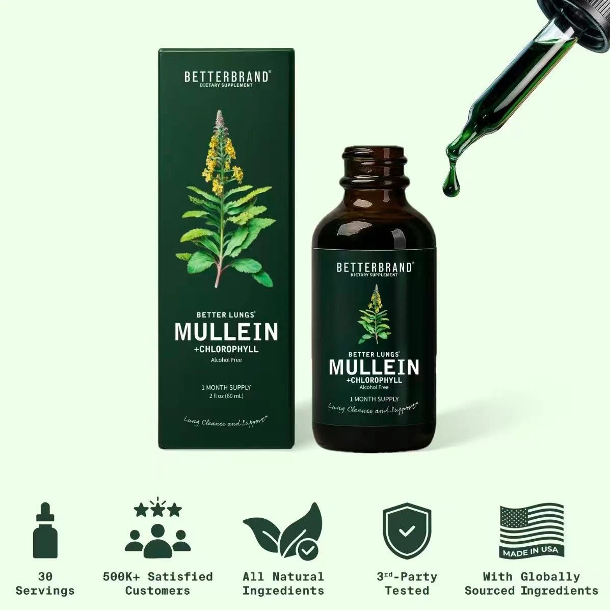 Mullein Leaf & Chlorophyll Cleanse designed for Lung Detox & Mucus Drops – 30…