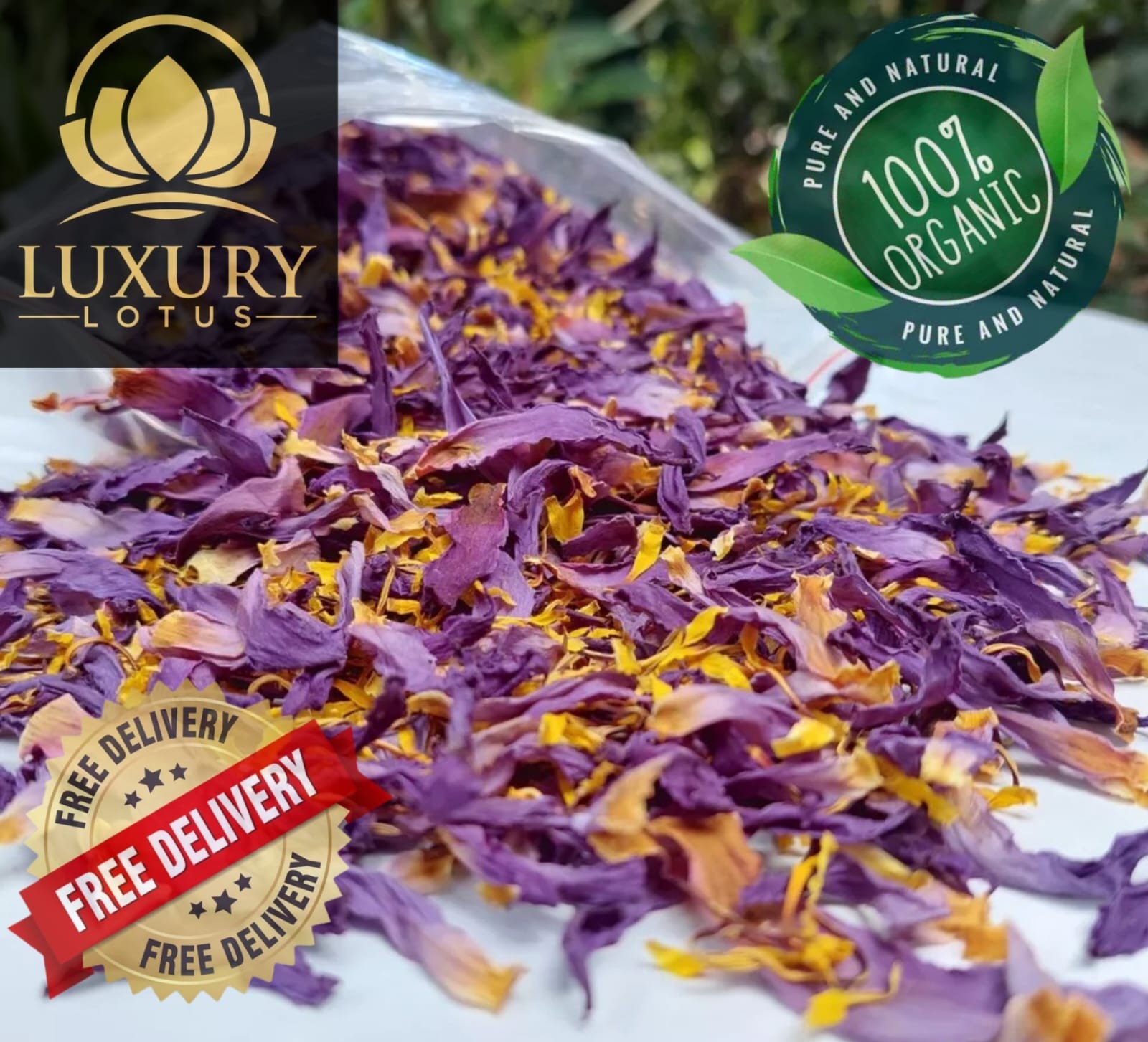 Blue Lotus |Nymphaea Caerulea| 100% Organic Herbal Hand Picked Pure Flowers Tea